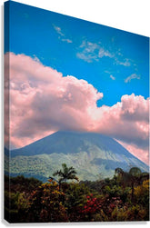 2465994 :: Giclée Stretched Canvas Print